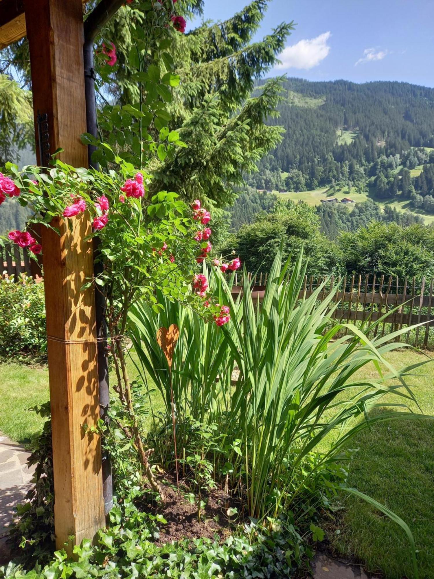 Aparthaus Am Walde & Appartement Sonnenseite Bartholomäberg Eksteriør bilde